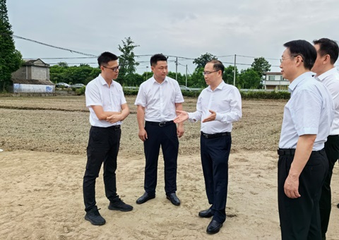 胡云赴眉山调研耕地；だ煤透叱叨扰┨锝ㄉ韫ぷ